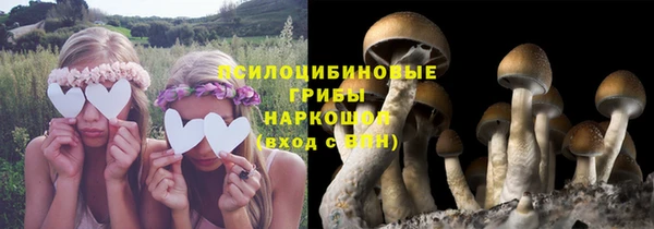 амф Зеленодольск