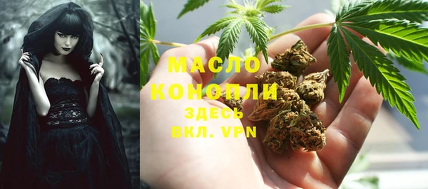 амф Зеленодольск