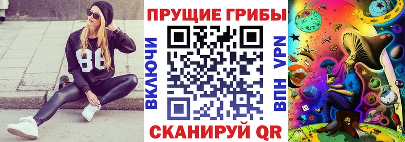 Псилоцибиновые грибы GOLDEN TEACHER  Купить  Михайловка 